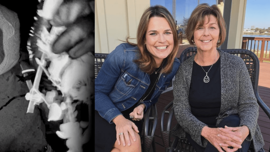 A MOTHER FOUND… A FAMILY DEVASTATED: The Tragic Death of Nancy Guthrie and the Shocking Arrest That Exposed a Stunning Betrayal